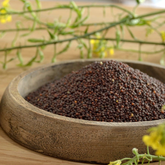 Graines de Moutarde Brune Granhota